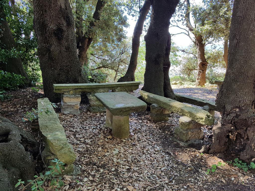 Villa Nencini ヴォルテッラ エクステリア 写真